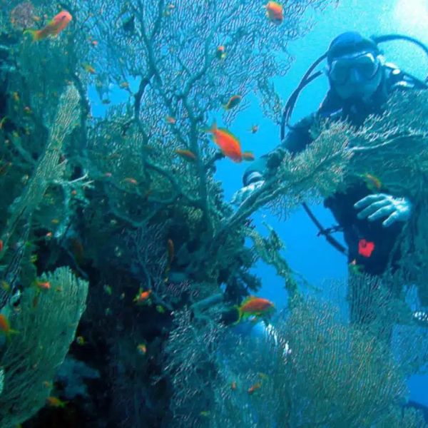 Snorkel a les Illes Medes